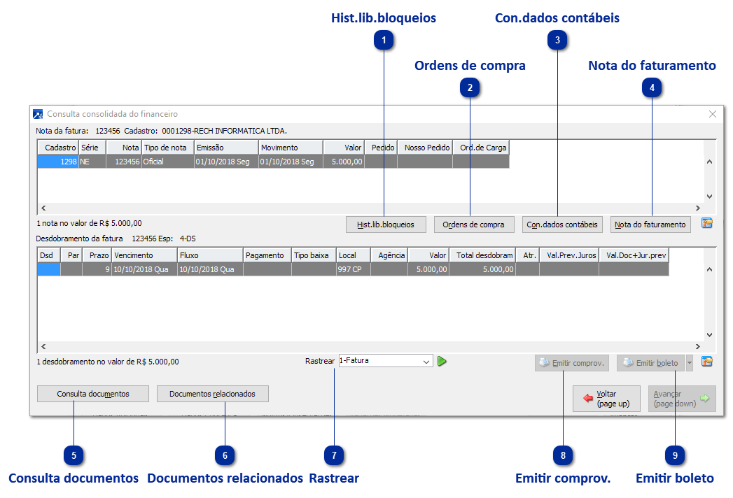 Consulta Consolidada do Financeiro