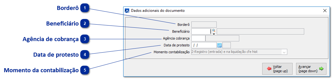 Dados Adicionais do Documento