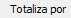 4. Totaliza por