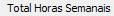 13. Total Horas Semanais
