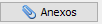 17. Anexos