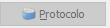 10. Protocolo