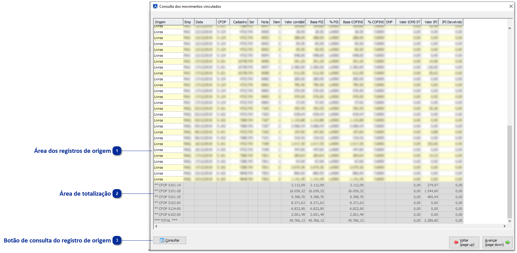 Consulta dos registros de origem