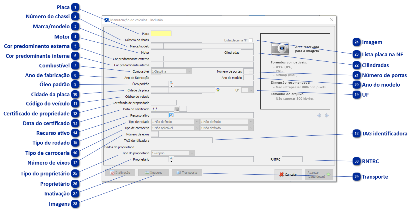 Cadastro de Veículos