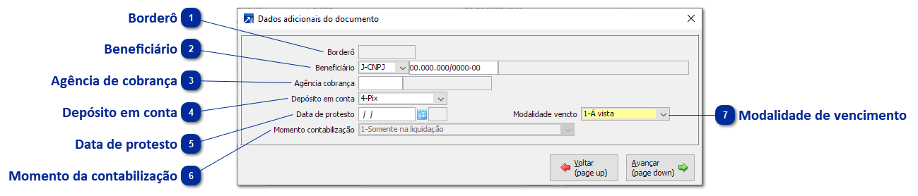 Dados Adicionais do Documento