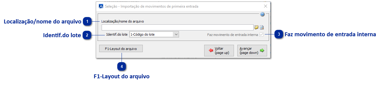 Importando Saldo de Produtos - Primeiro Movimento