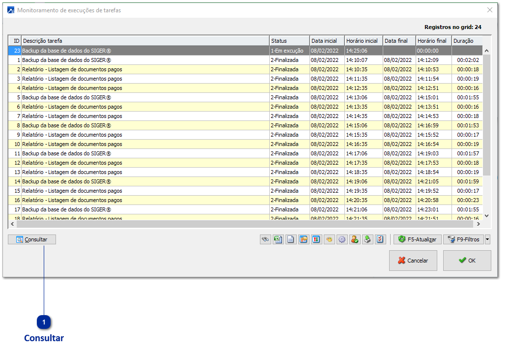 Monitoramento de Execuções