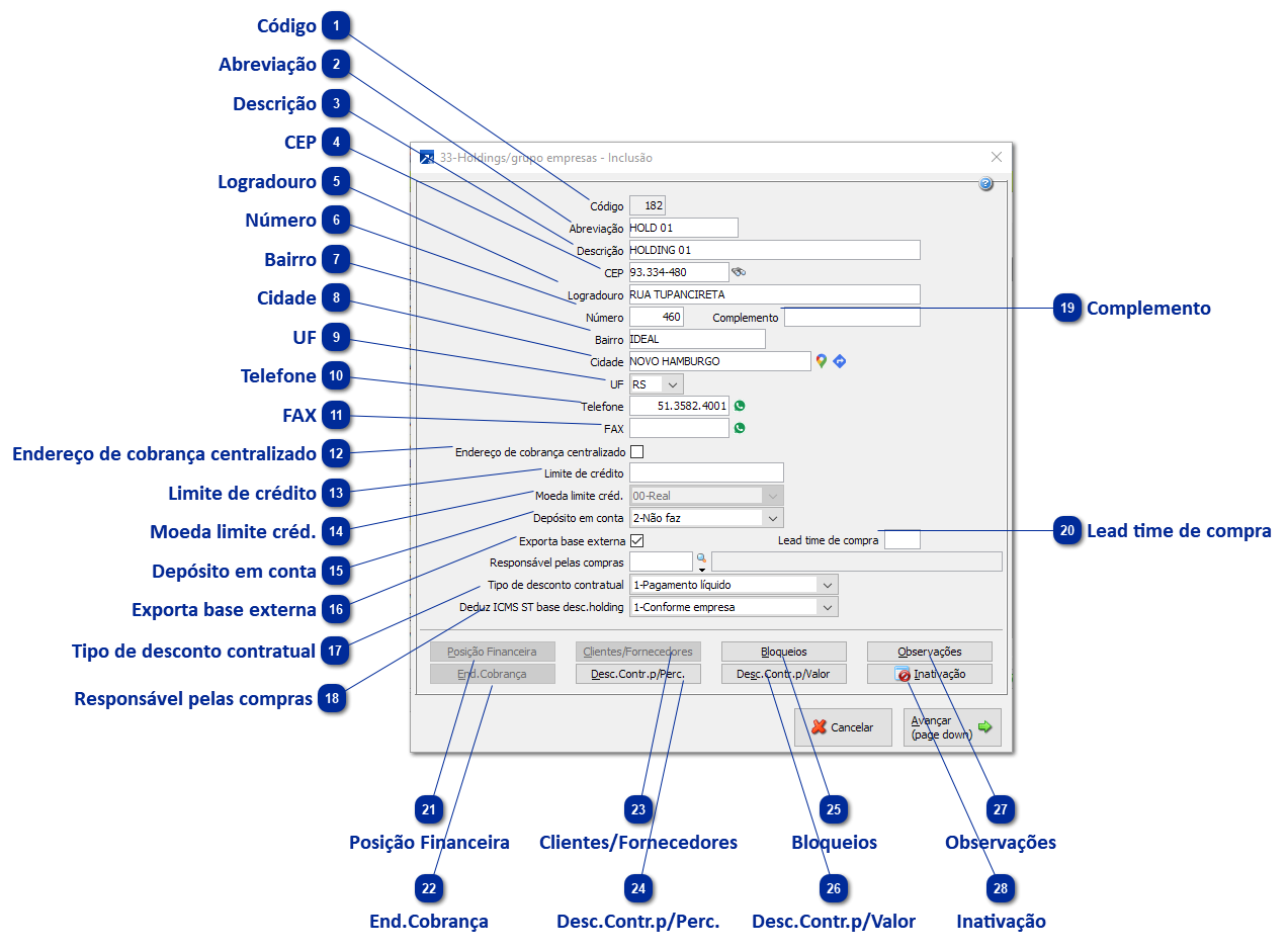 33 - Holding/Grupo de Empresas