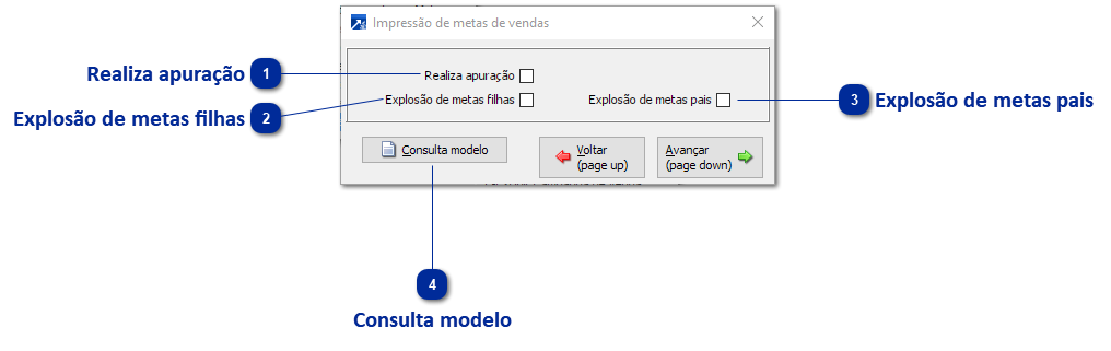 Impressão de Metas