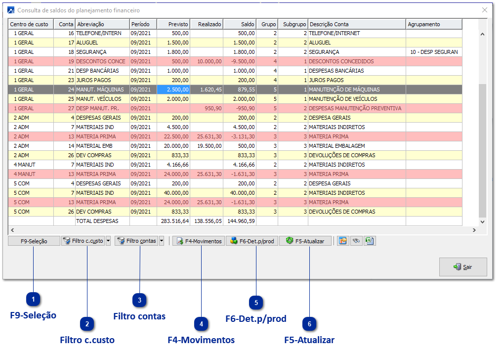 Recursos do Grid da Consulta de Saldos