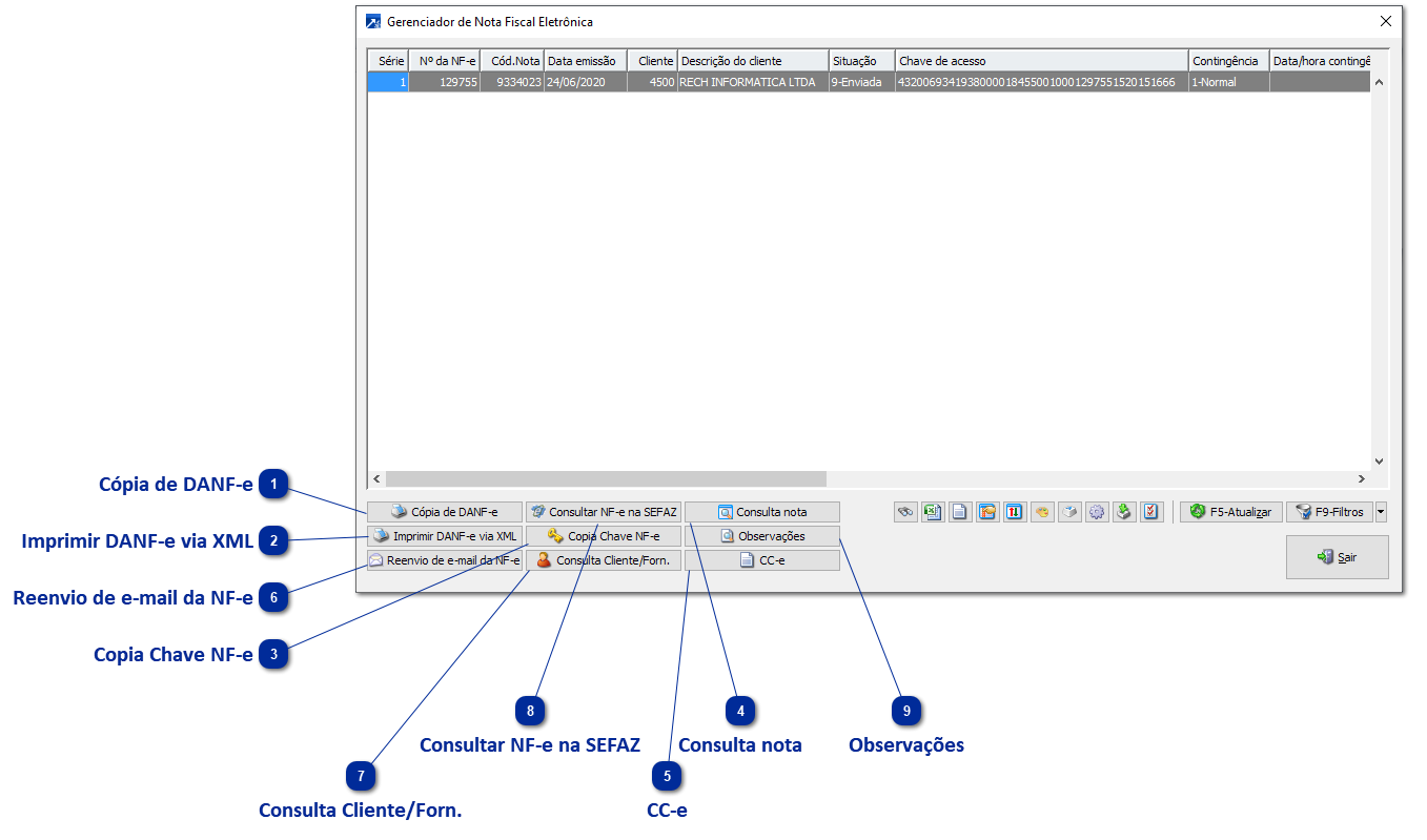 Visualizar NF-e emitidas e Reimprimir DANF-e 