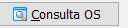 13. Consulta OS