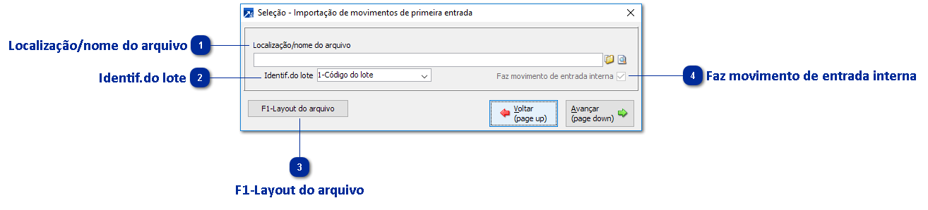 Importando Saldo de Produtos - Primeiro Movimento