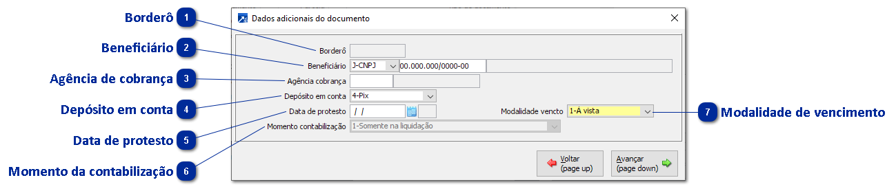 Dados Adicionais do Documento
