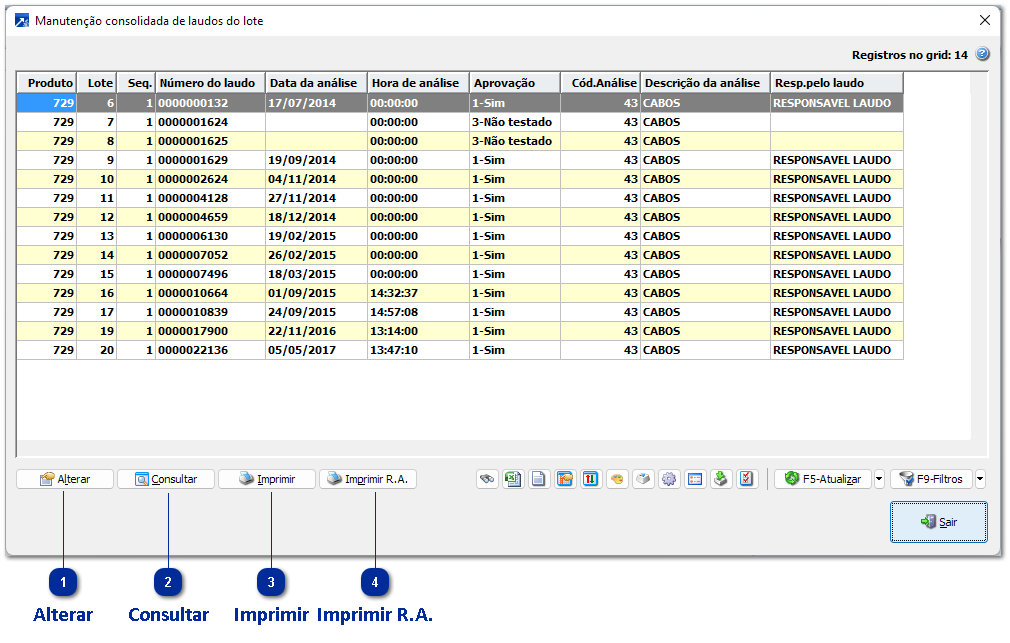 Manutenção consolidada Laudo