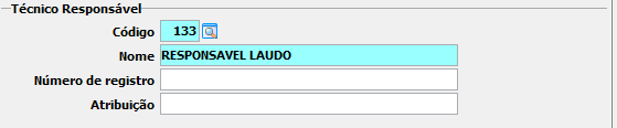 8. Técnico Responsável