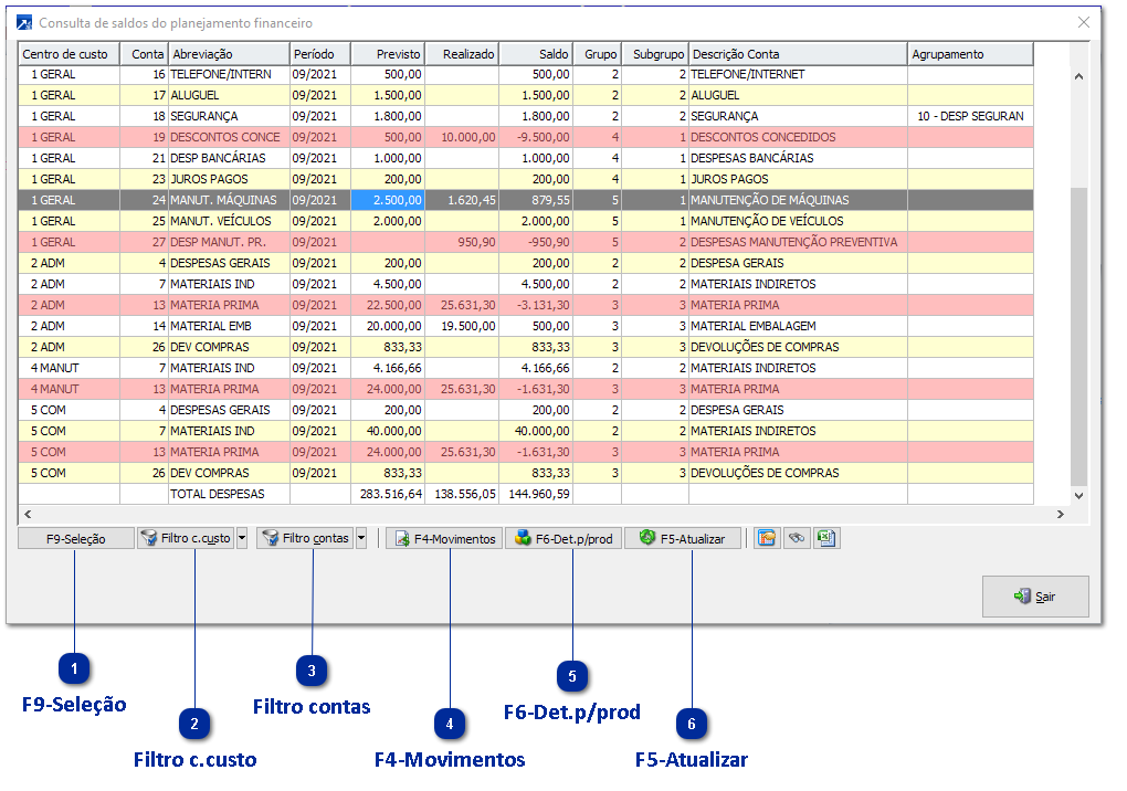 Recursos do Grid da Consulta de Saldos