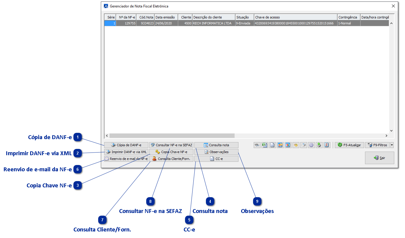 Visualizar NF-e emitidas e Reimprimir DANF-e 