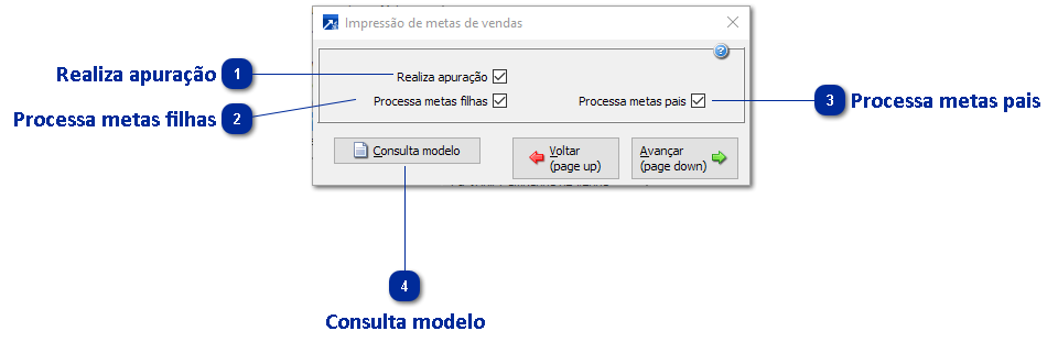 Impressão de Metas
