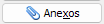 16. Anexos