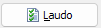 23. Laudo