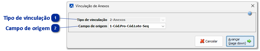 Vinculação de anexos