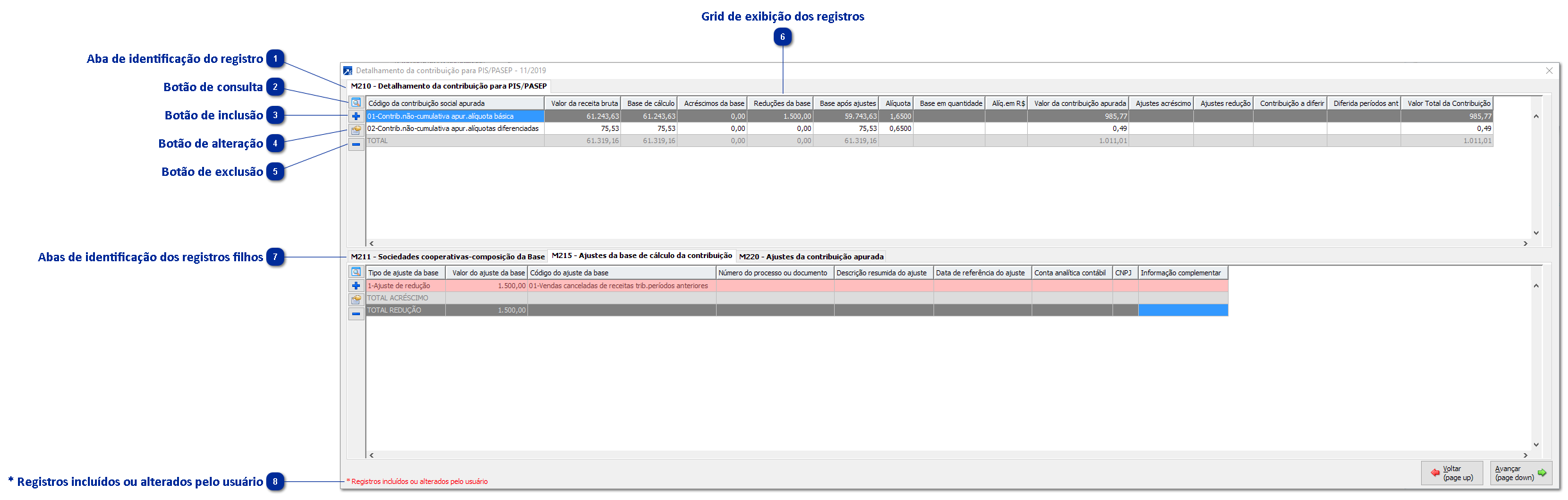 Detalhamento de valores por tipo de registro do SPED