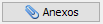 21. Anexos