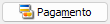 17. Pagamento