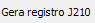 2. Gera registro J210