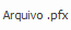 2. Arquivo .pfx