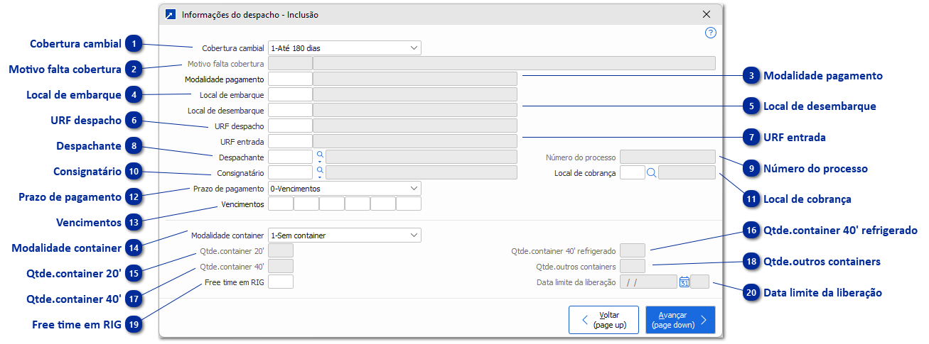 Informações do Despacho