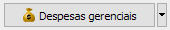 3. Despesas gerenciais