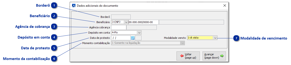 Dados Adicionais do Documento
