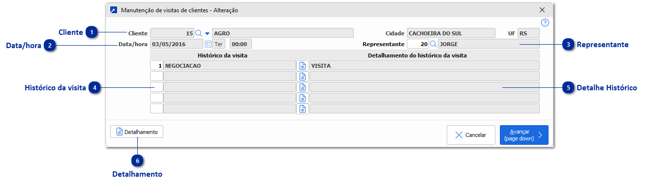 Manutenção da Visita
