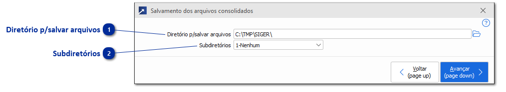 Salvamento dos Arquivos Consolidados