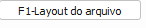 4. F1-Layout do arquivo