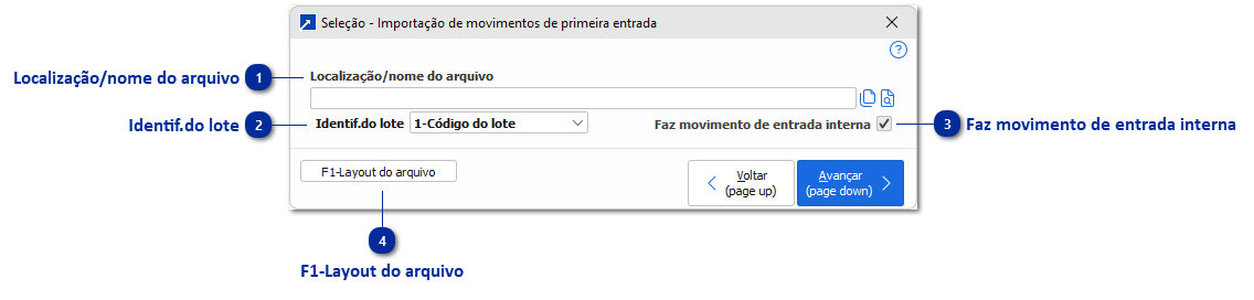 Importando Saldo de Produtos - Primeiro Movimento