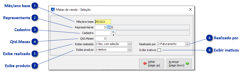 Inserindo Metas por Produto