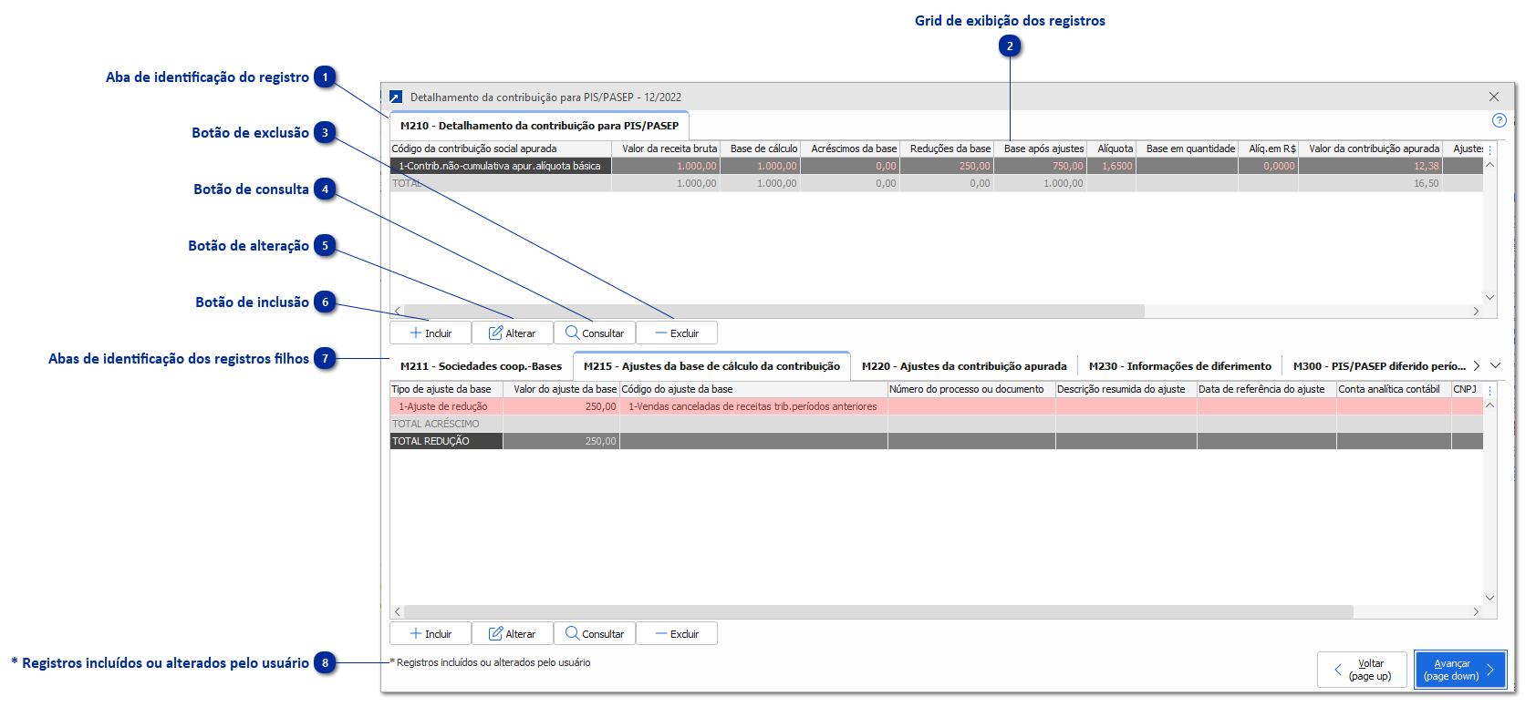 Detalhamento de Valores por Tipo de Registro do SPED