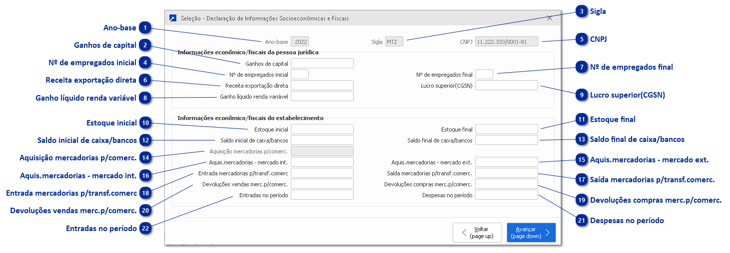 Declaração de Informações Socioeconômicas e Fiscais