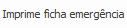 13. Imprime ficha emergência