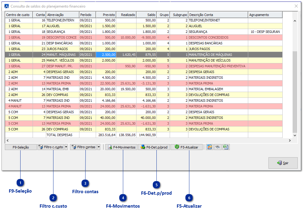 Recursos do Grid da Consulta de Saldos
