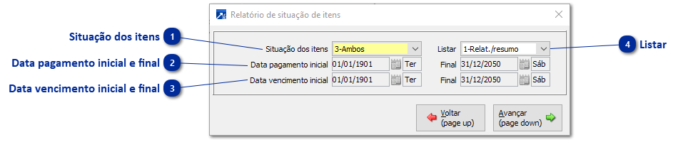 Relatório Itens Pagos e Não Pagos