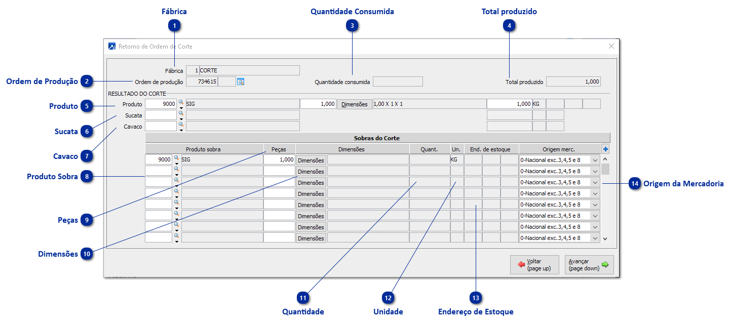Retorno de Ordem de Corte