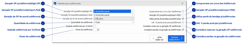 Subfórmula/Subestrutura