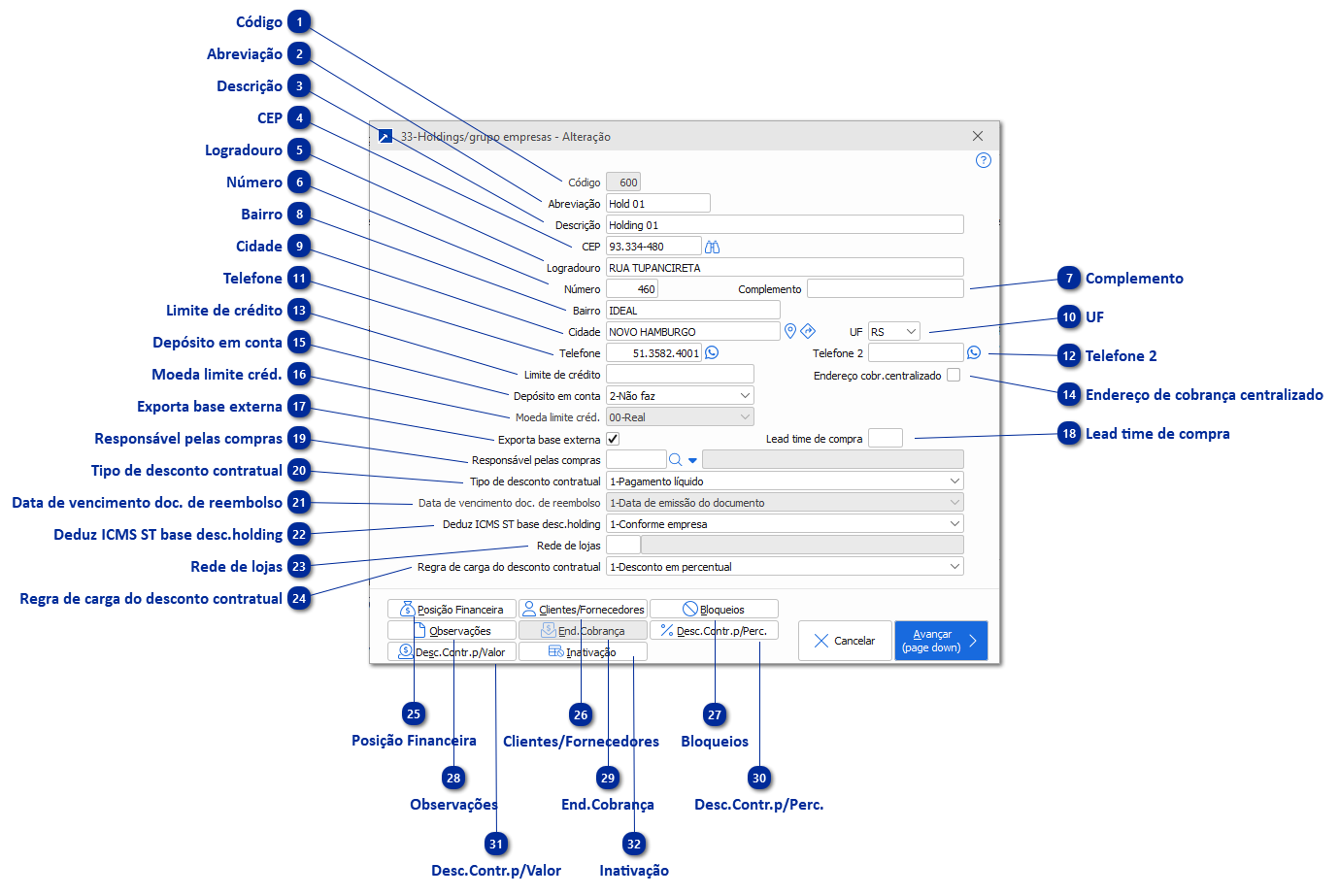 33 - Holdings/Grupos de Empresas