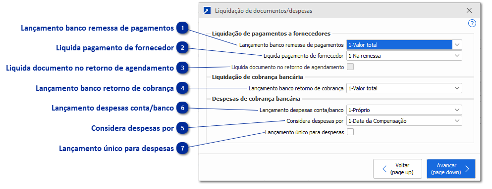 Liquidação de Documentos/Despesas
