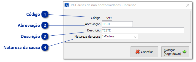 19 - Causas de Não Conformidades