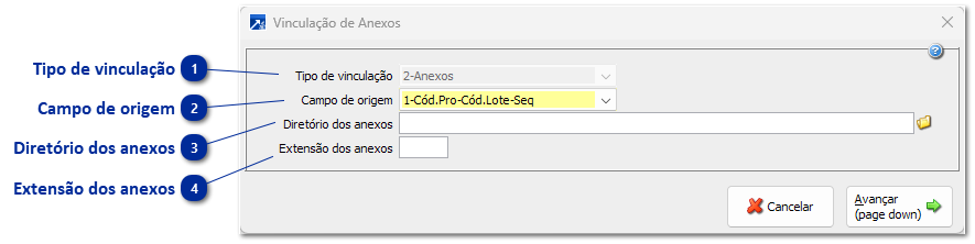 Vinculação de anexos